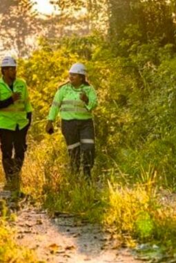 Tiga Dekade Menambang, NHM Buktikan Komitmennya Lestarikan Hutan Halmahera