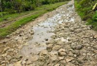 Salah Satu Ruas Jalan Yang Menghubungkan Mangoli Barat dan Mangoli Utara