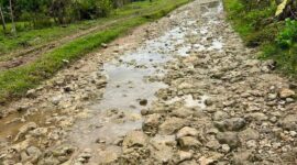 Salah Satu Ruas Jalan Yang Menghubungkan Mangoli Barat dan Mangoli Utara