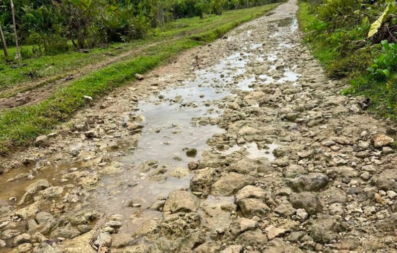 Salah Satu Ruas Jalan Yang Menghubungkan Mangoli Barat dan Mangoli Utara