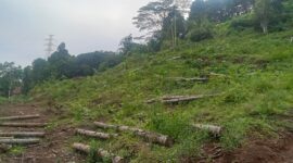 Lahan Yang Disengketakan di Kelurahan Ngade Kota Ternate