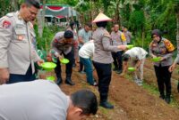 Penanaman Jagung Yang Dipimpin Kapolres Ternate, AKBP Anita Ratna Yulianto