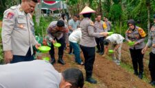 Penanaman Jagung Yang Dipimpin Kapolres Ternate, AKBP Anita Ratna Yulianto