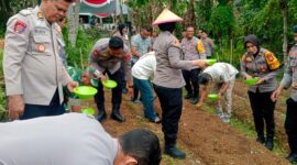 Penanaman Jagung Yang Dipimpin Kapolres Ternate, AKBP Anita Ratna Yulianto