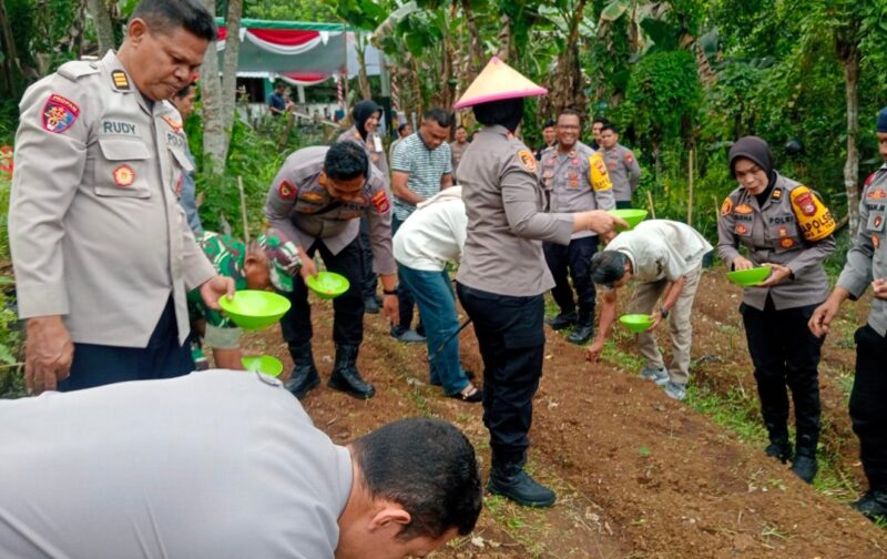 Penanaman Jagung Yang Dipimpin Kapolres Ternate, AKBP Anita Ratna Yulianto