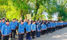 1.374 PPPK Paruh Waktu Pemkab Halbar Resmi di SK-kan, Bupati: Skema Gajinya Mulai Disusun