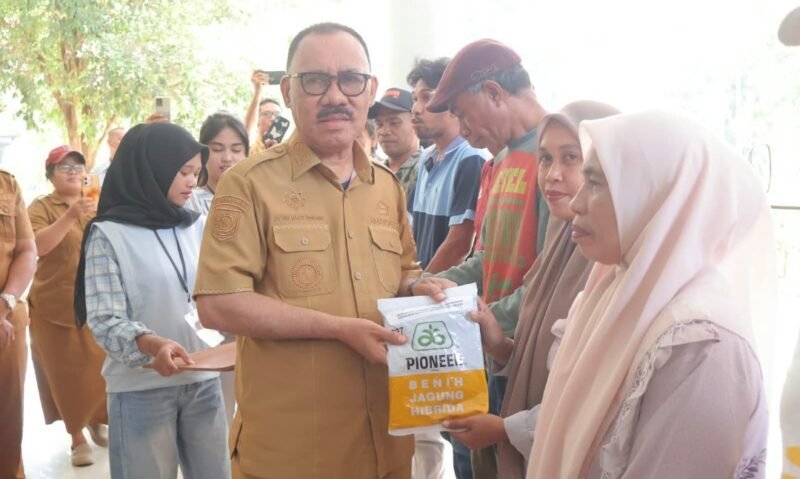 Bupati James Uang Menyerahkan Bantuan Bibit Jagung Kepada Kelompok Tani