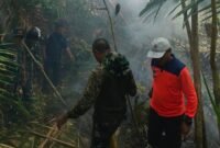 Penanganan Karhutla di Wilayah Halmahera Barat Oleh BPBD Halbar