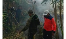 BPBD Halbar Minta Bantuan BNPB Pusat Tangani Karhutla