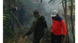 Penanganan Karhutla di Wilayah Halmahera Barat Oleh BPBD Halbar