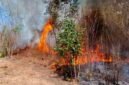 Salah Satu Lokasi Kebakaran Hutan dan Lahan di Halbar