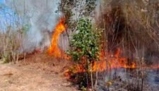 Salah Satu Lokasi Kebakaran Hutan dan Lahan di Halbar