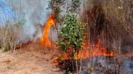 Salah Satu Lokasi Kebakaran Hutan dan Lahan di Halbar